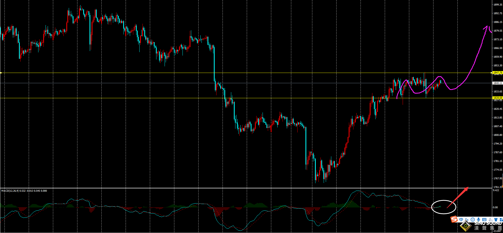 劉建偉:周線觸底反彈,本周順勢做多為主