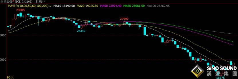 一周經歷從地獄到天堂！豬價迅猛上漲，豬市歡呼一片 但這波反彈能持續嗎？