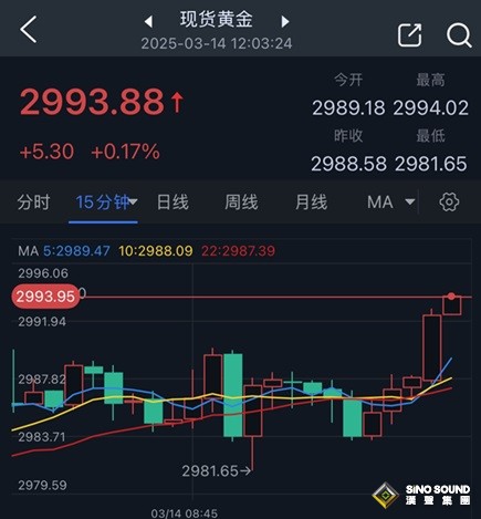 黃金突然爆發！金價短線飆升至2994美元創新高 FXStreet高級分析師金價交易分析