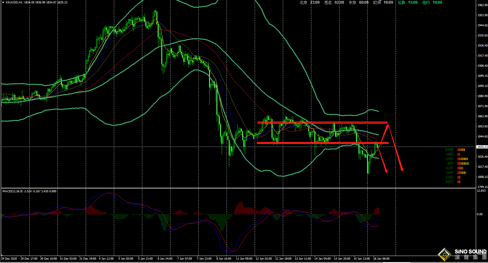 張明藝:弱勢行情,反彈便是進場位