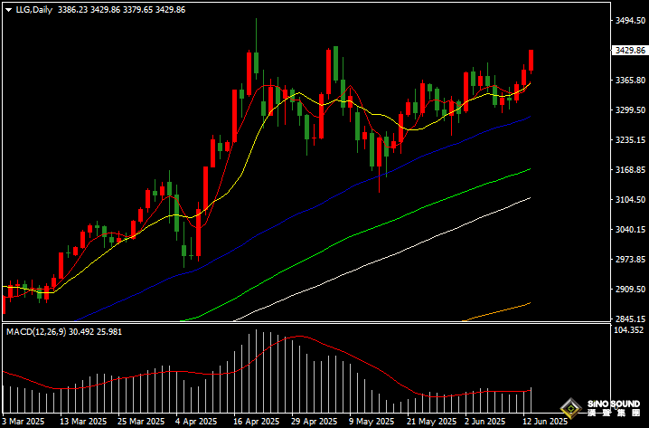 漢聲張新才:[6月13日早評]以色列對伊朗發動襲擊，避險需求助長金價爆漲